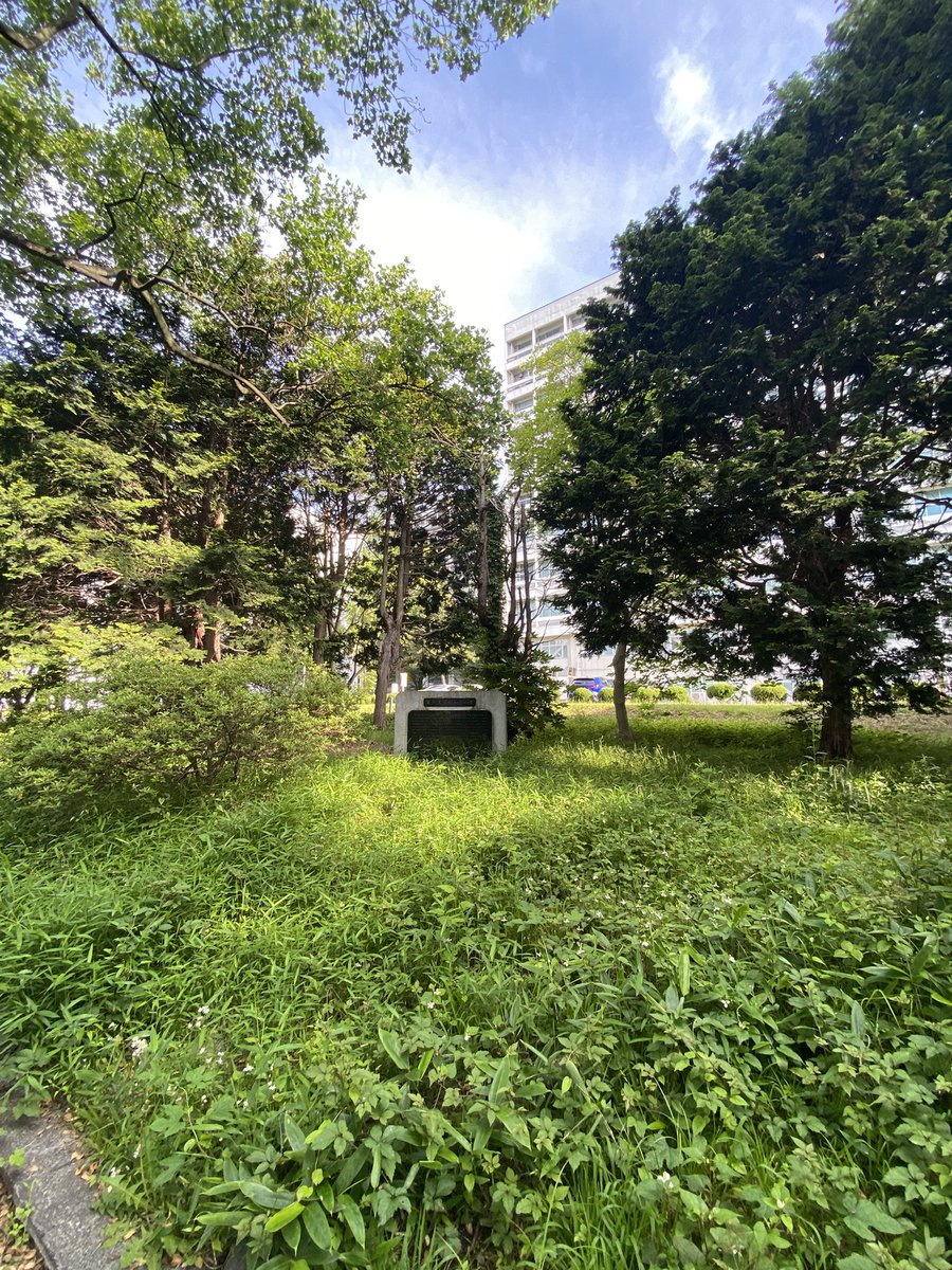 未知なる宮城｜KIMLOG｜ tweet media