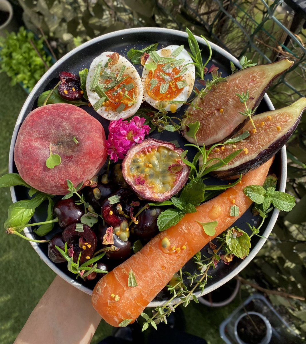 crystallisedfig's tweet image. Colourful plate to celebrate surviving this far through exam season