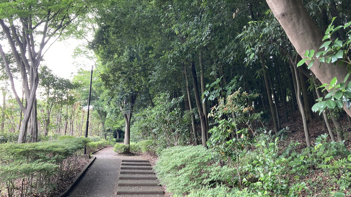 pfllllfq's tweet image. #morningwalk
#sparetime
cf24×314+21