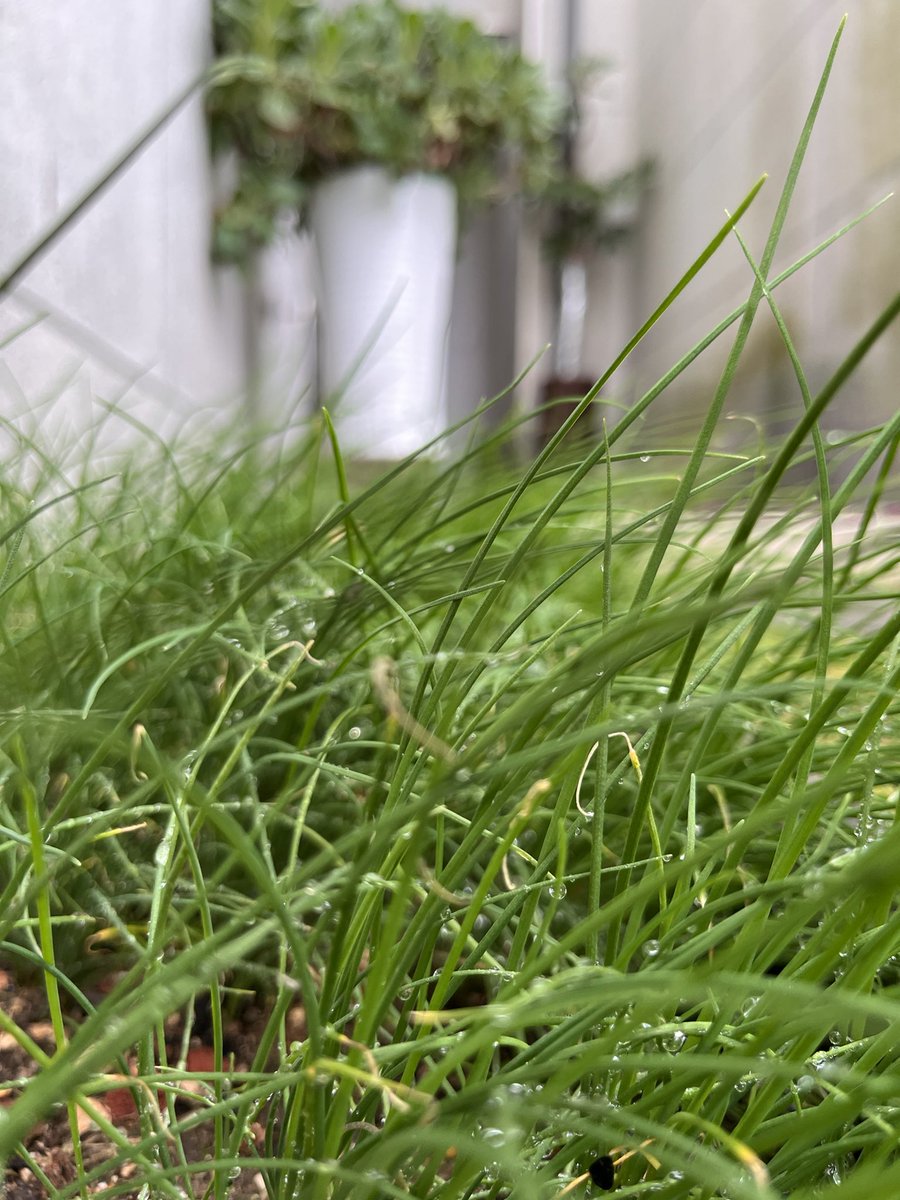좋은 아침이에요!❤️🎄 벌써 12월의 넷째 주, 다가 올 크리스마스 설렘이 가득한 월요일 아침이네요! 포근하고 달콤한 케이크 한  조각처럼🍰 기분 좋은 월요일 시작하시길 바라요! Merry Christmas Week!🎁 행복한 월요일 보내세요!❤️, image size:900x1200