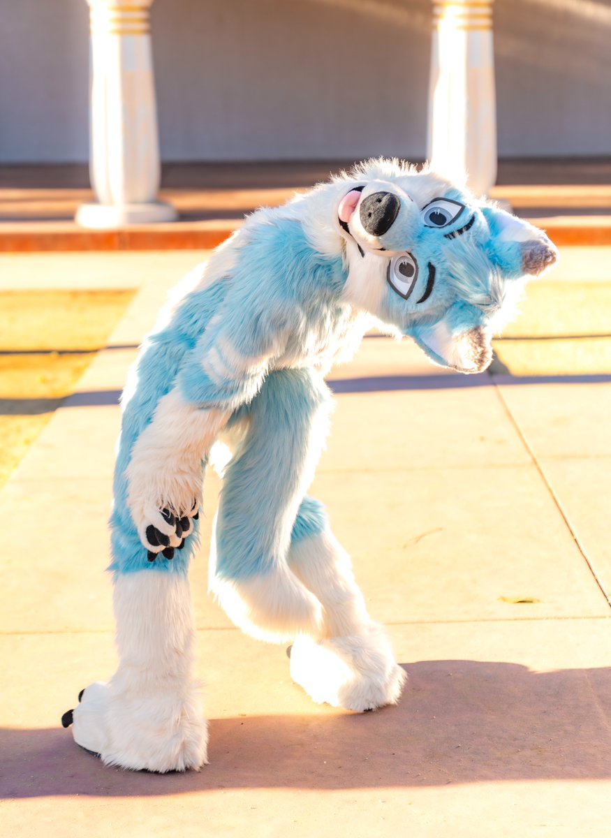 caught staring 👀 

📸: <a href="/ChatahSpots/">Ｍｉｇｏ💢｜Chatah🏖☀️</a> 
🧵🪡✂️: <a href="/wolf_daz/">Daza 🔮 GOH BKB</a> 

#FursuitFriday