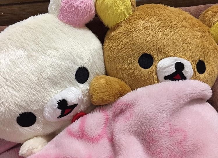 cdoll's tweet photo. https://t.co/FGNvlFKsAo