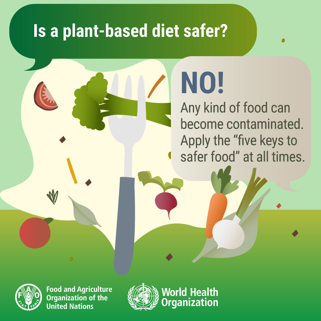 WHOJordan's tweet photo. Is Plant - based diet safer ?

@WHOEMRO 
@FAOJordan 
@UnitedNationsJO 

#whojordan
#healthforall https://t.co/JUOSjjnXnr