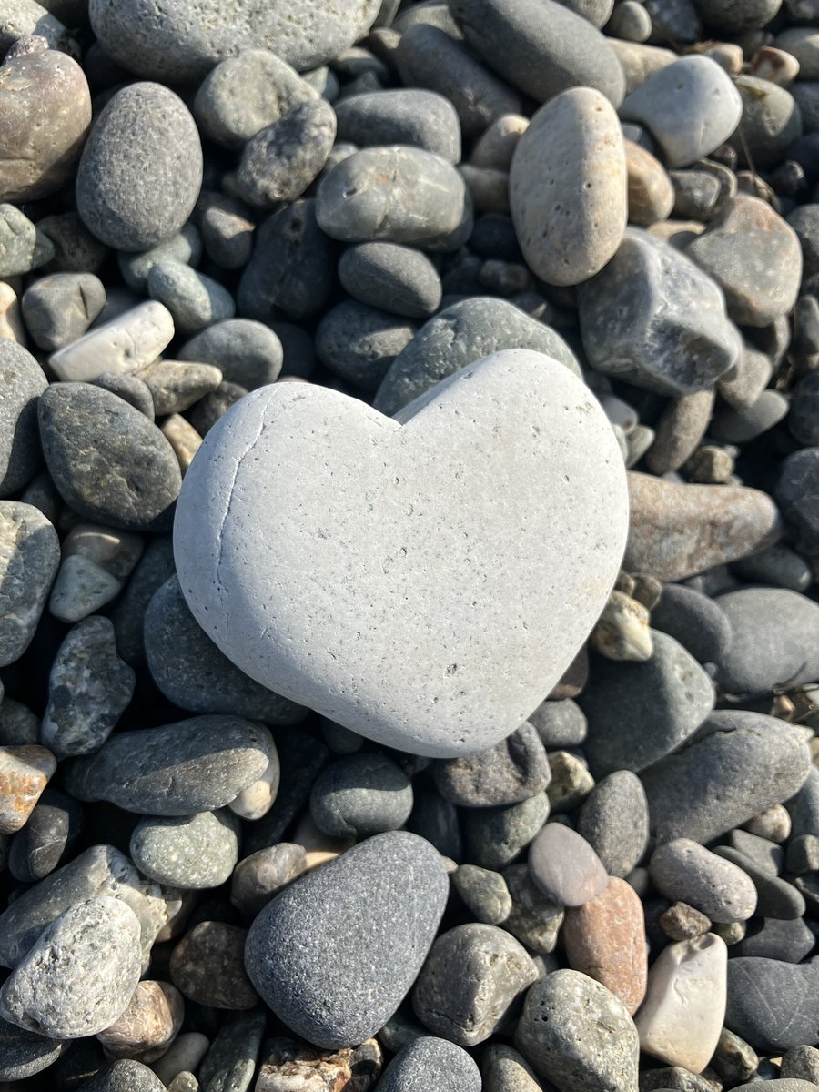 うわ　イワロックの心岩じゃん

ここで1体倒されたか