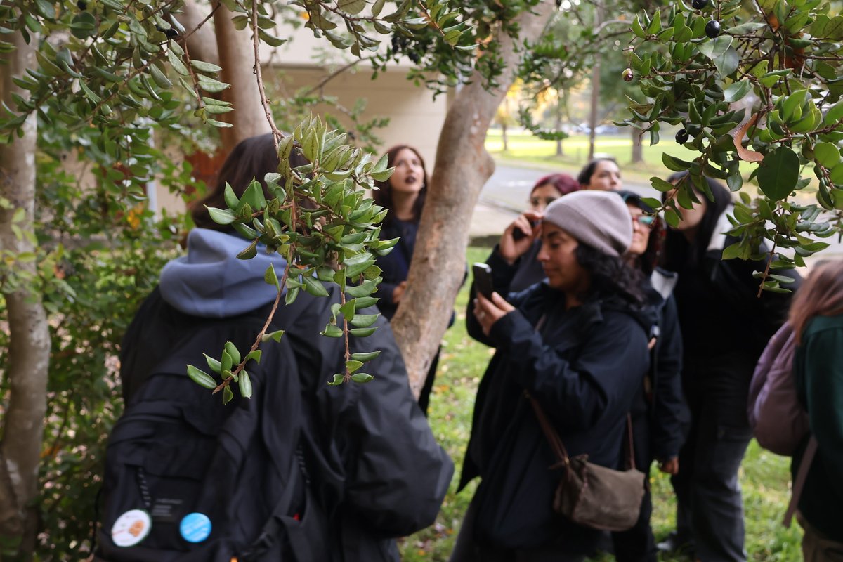 📸Con un recorrido por el Campus Concepción, este miércoles vivimos el segundo taller de Treiles: Laboratorios para la Coexistencia, iniciativa de <a href="/UdeCSustentable/">UdeC+Sustentable</a>, <a href="/FECUdeC/">FEC UdeC</a> y #BibliotecasUdeC.
Gracias a Francibelk Roa por guiarnos a mirar este laboratorio vivo que habitamos🌿.