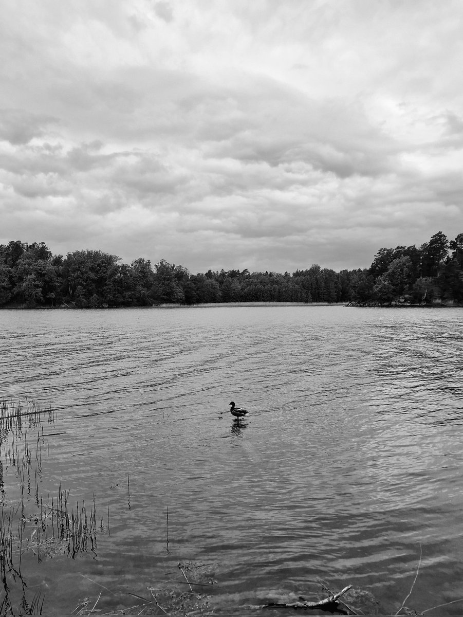 Sometimes miracles just happen. 🖤