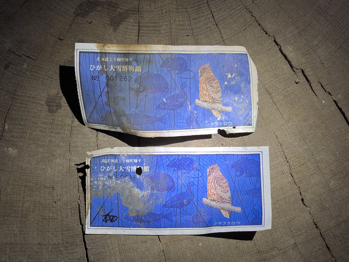 倉庫に眠る謎のカシワの切株。穴の中を覗いたらなんと初期の入館チケットがでてきました！番号から開館直後（1970年）のものと思われます。初期の資料はほとんど残っていませんでしたが、チケットによって切株が開館当時に展示されていたことがわかりました。今回は過去のイタズラに感謝です。