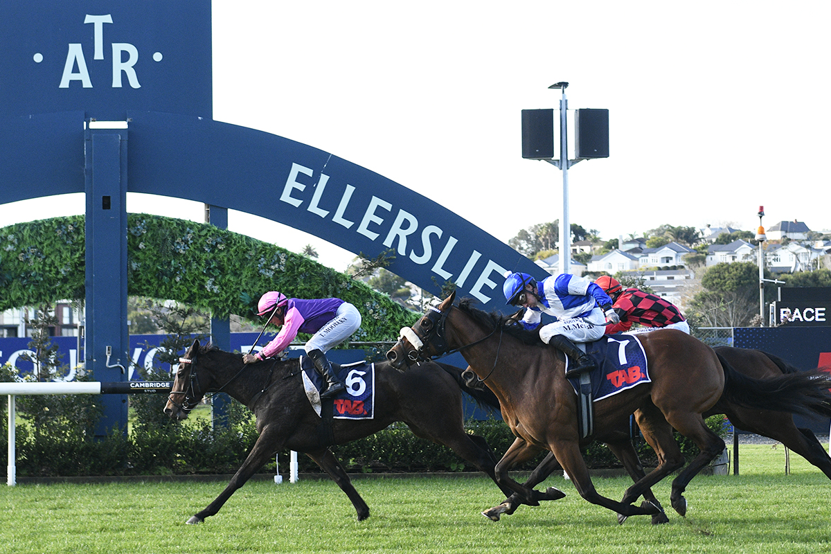 Auckland Thoroughbred Racing (@ellerslie_races) on Twitter photo Beneath The Stars goes back to back here at Ellerslie after taking out the YourRide 1200 Beneath The Stars goes back to back here at Ellerslie after taking out the YourRide 1200