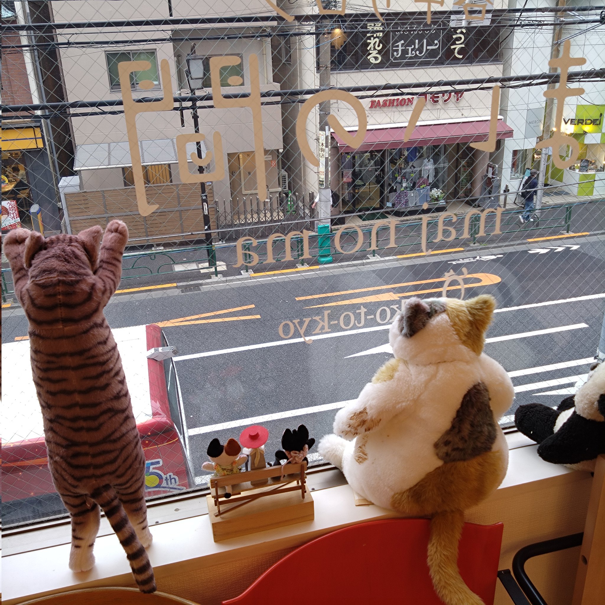 みけねこ。 (@mike_myi) / X