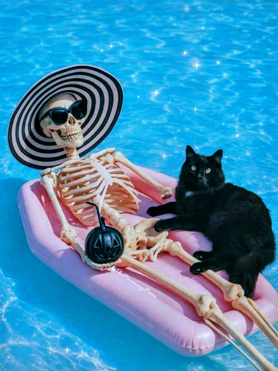 HalloweenIsCal1's tweet photo. Floatin’ into the weekend like a spooky snack!!
🖤✨🎃🍹🌸🐈⬛🌸🍹🎃✨🖤
#halloween #HalloweenIsCalling #halloweenforever #1031club #halloween2025 #spookyfam #spooky #snack #blackcat #skeleton #tgif #friday #weekend #chill #vibe #bigpimpin https://t.co/0EXfIo75oL