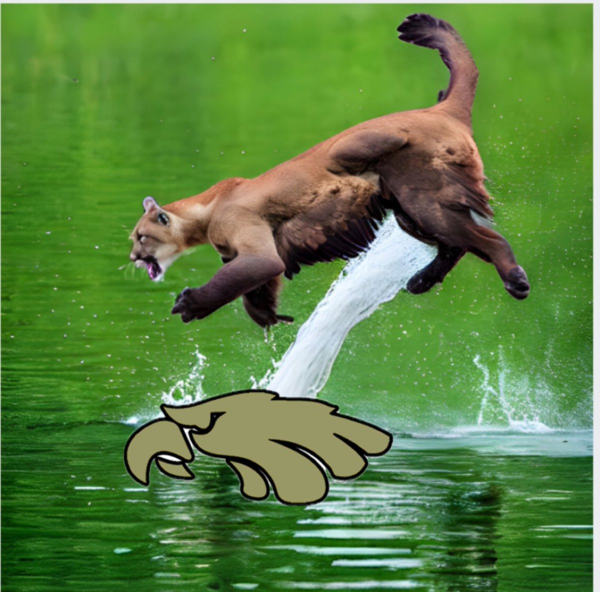 new owner same goal #fuckbusco