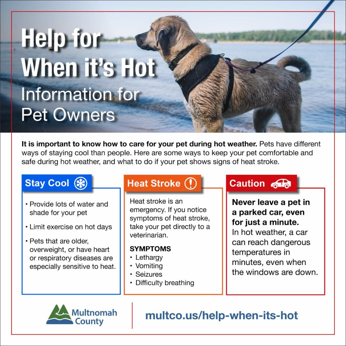 Learn about keeping pets safe when it's hot, and how to address heat-related emergencies.
multcopets.org/news/keeping-y…

#HelpWhenItsHot #HotWeather #Pets