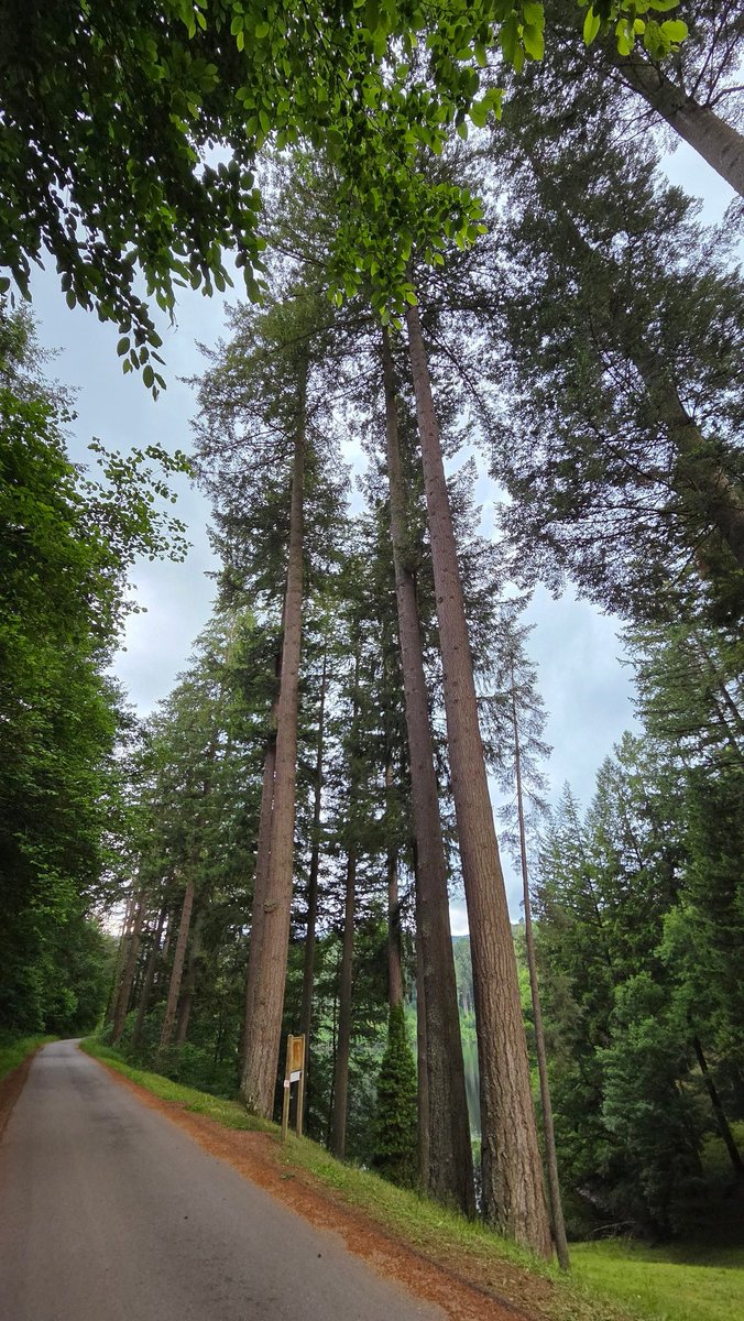 Pierre Col tweet media