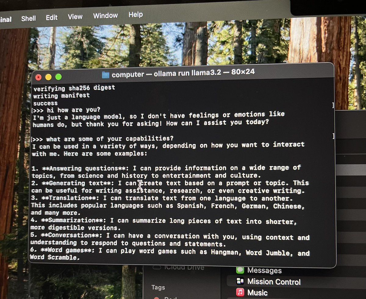 We’re so on right now. Downloaded Ollama. Now running through a tutorial how to build a local ai agent w python, Ollama, lang chain &amp; RAG.

Yes I still have zero clue what I’m doing.