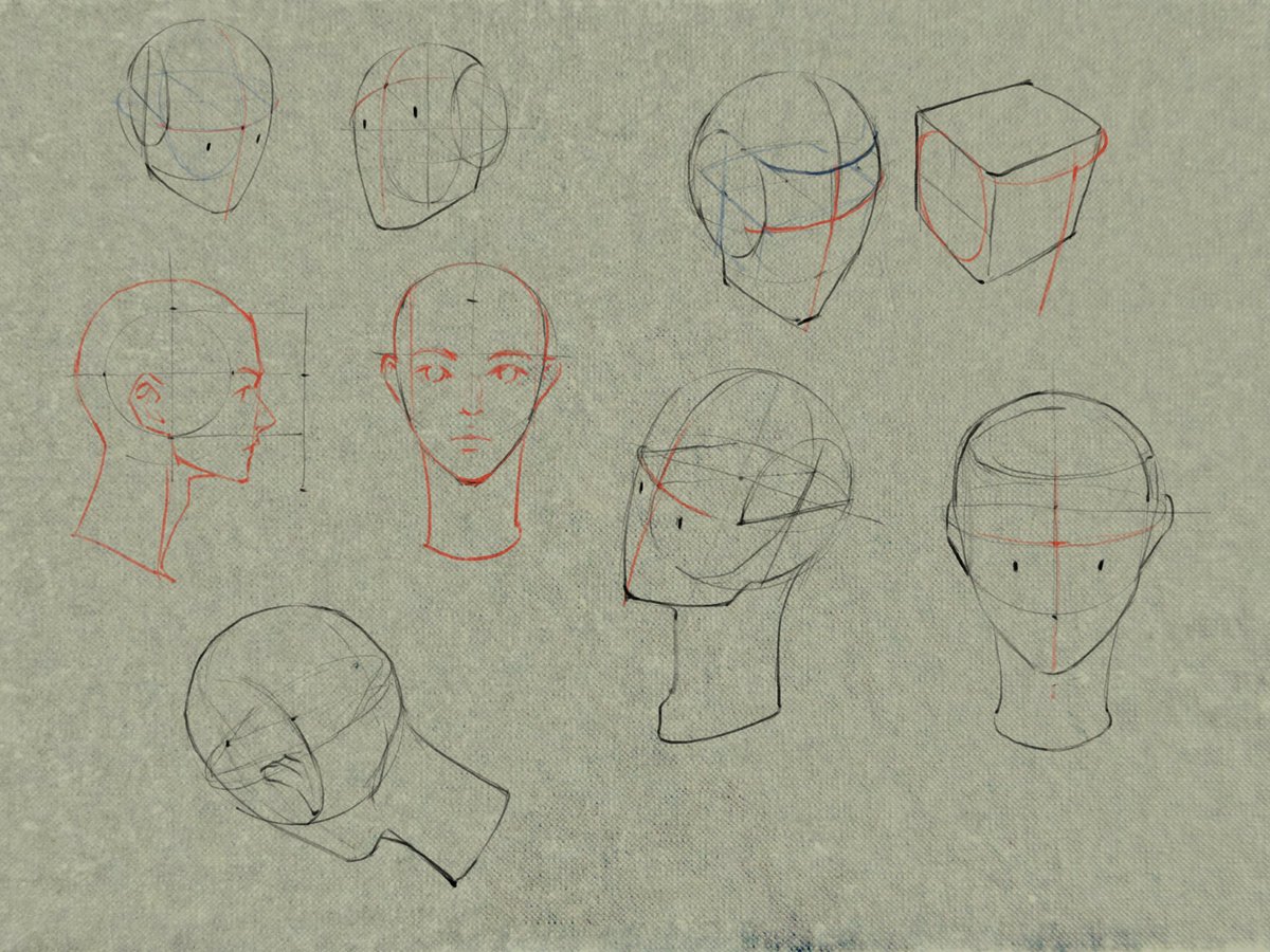 みえない側に眉間をとる応用などもやってみたよ。
#日々描く #drawing