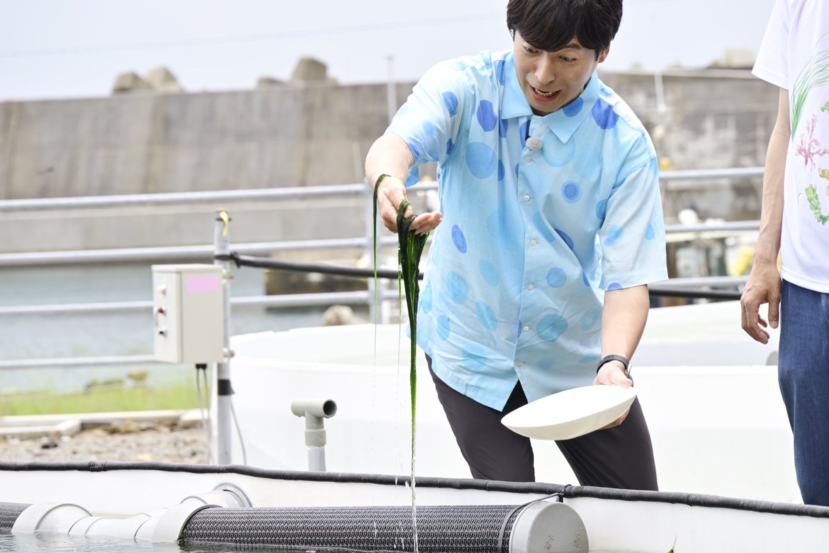 本日夜6時30分🌊】 高知県、超最先端技術で海藻を救う会社に潜入