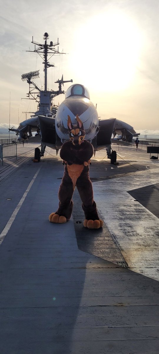 Coming at you this #FursuitFriday from the USS Hornet

📸 <a href="/KaraStereoX/">Wusky screams @Furlandia 2024</a>