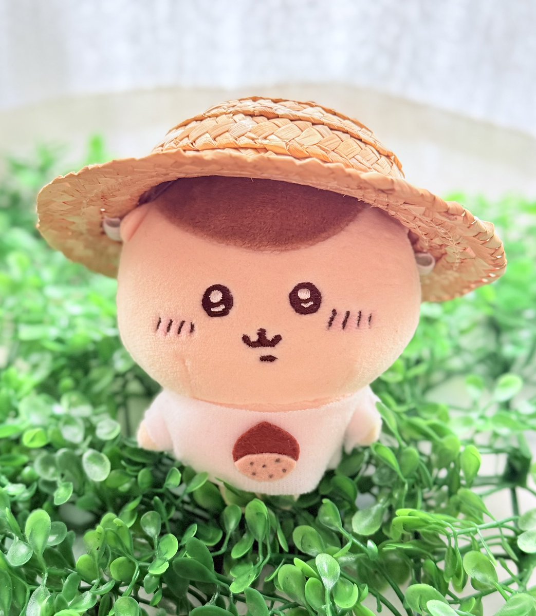 くりまんじゅうさん
お気にの栗Tシャツ🌰✨✨