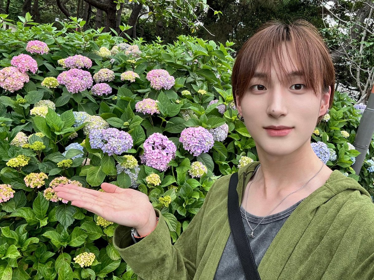 momoyado030's tweet photo. 누가 꽃이게요?
이런 얼굴이면 봄이랑 여름이 먼저 인사하러 올 듯 https://t.co/JfhJOwkUO6