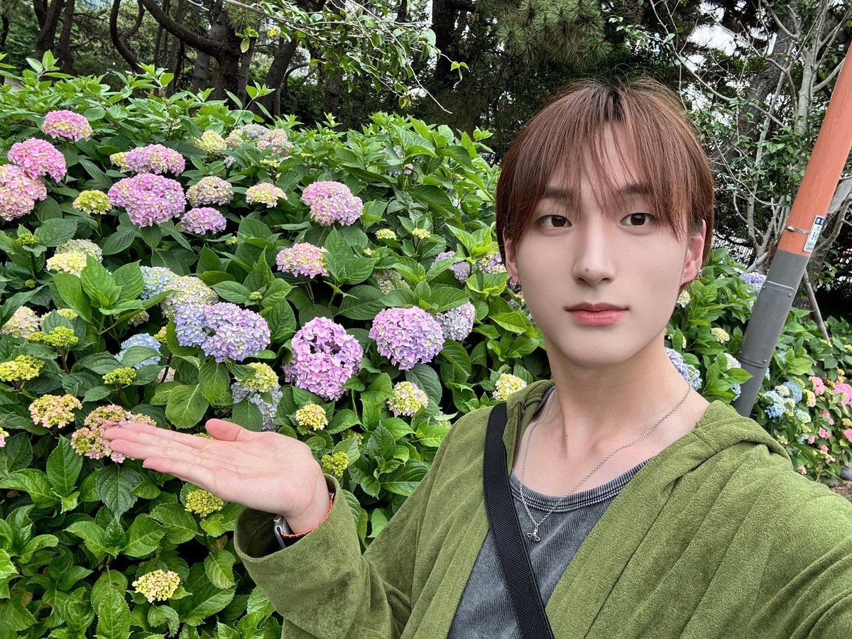 momoyado030's tweet photo. 누가 꽃이게요?
이런 얼굴이면 봄이랑 여름이 먼저 인사하러 올 듯 https://t.co/JfhJOwkUO6