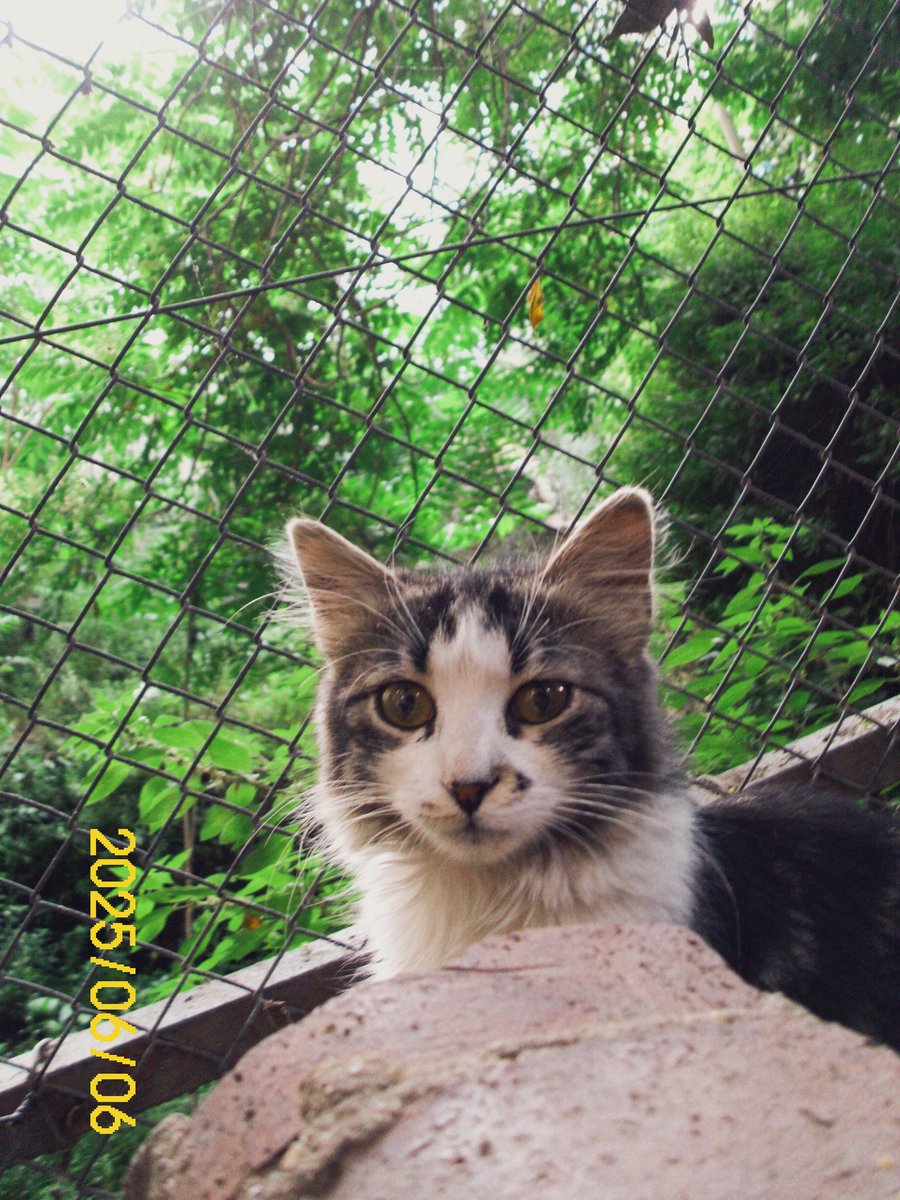 polaroid i1037 fotoğraf makinesi 
Benim amatörlük 
 güzel İstanbul