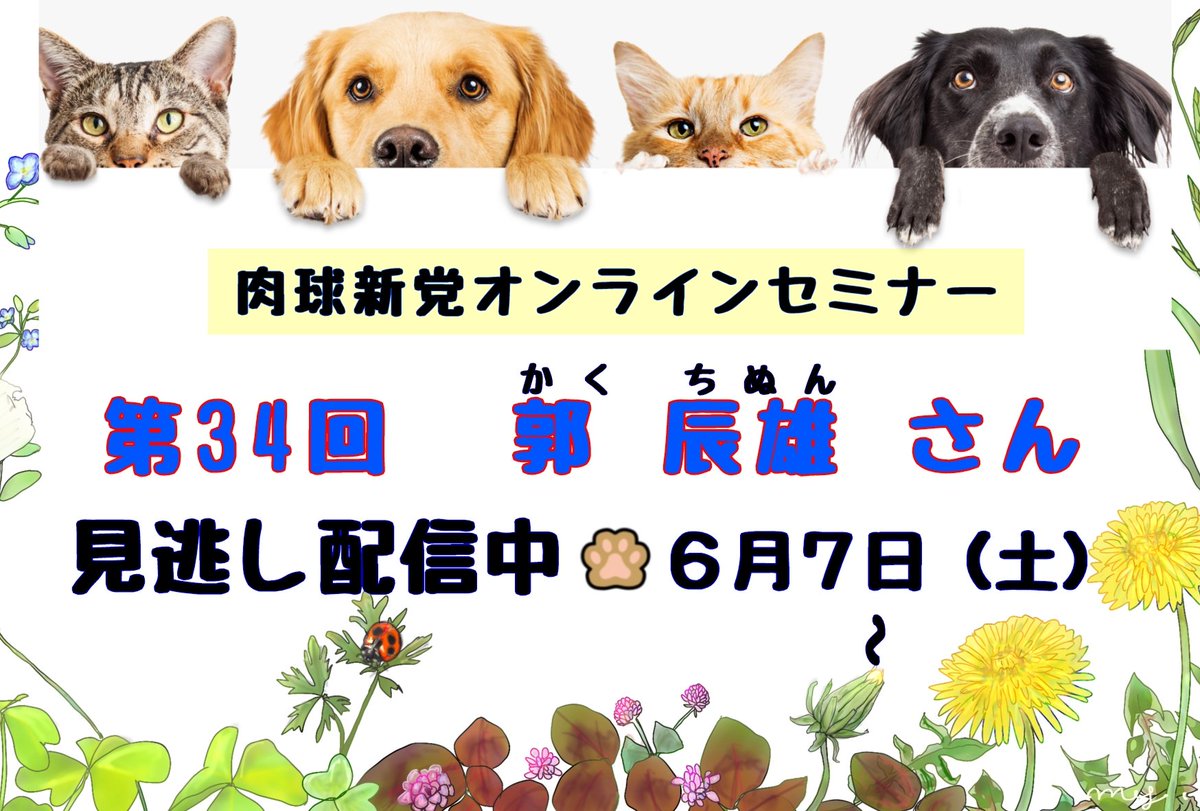お待たせいたしました。
５月31日に実施した #肉球新党オンラインセミナー #郭辰雄 さんの最高に解りやすいお話しの見逃し配信は、本日からご覧いただけます。当日のパワポ資料もブログ内に有りますので、大阪コリアタウン訪問のガイドブックとして活用してくださいニャ😽
見逃し配信はまだ受付中❣️