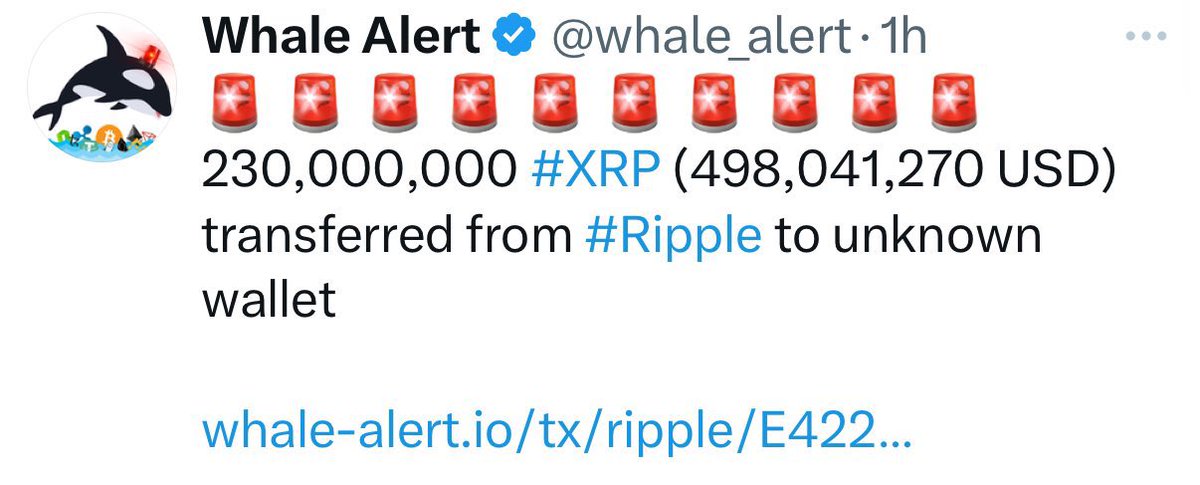 🚨$500M Dollars Of XRP Transferred🚨

230,000,000 XRP were just transferred from Ripple to an Unknown wallet 

…Something is brewing. I told you guys yesterday, whenever we have a dip like that, it means the MM know something is coming and they want to shake all of us out before