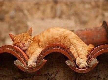 One of my favorite photos because it reminds me that if you relax, take a couple of deep breaths, you fit in anywhere