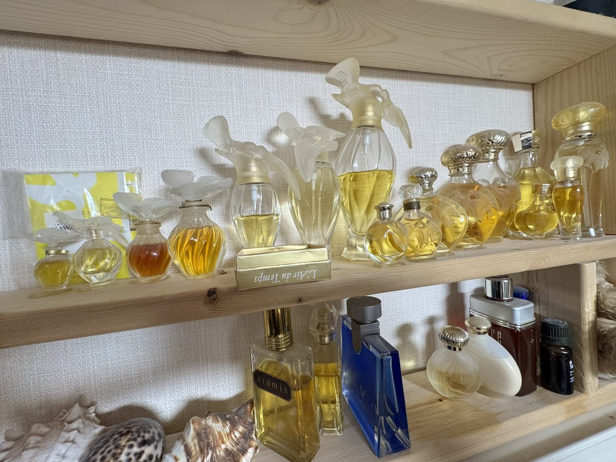 ginsbar's tweet image. BLEUEの小道具で200以上の香水を集めて以来、ニナリッチの名香レールデュダン、日本語で時の流れ
が気に入ってコレクション中、一つの香水にこんなに種類があります