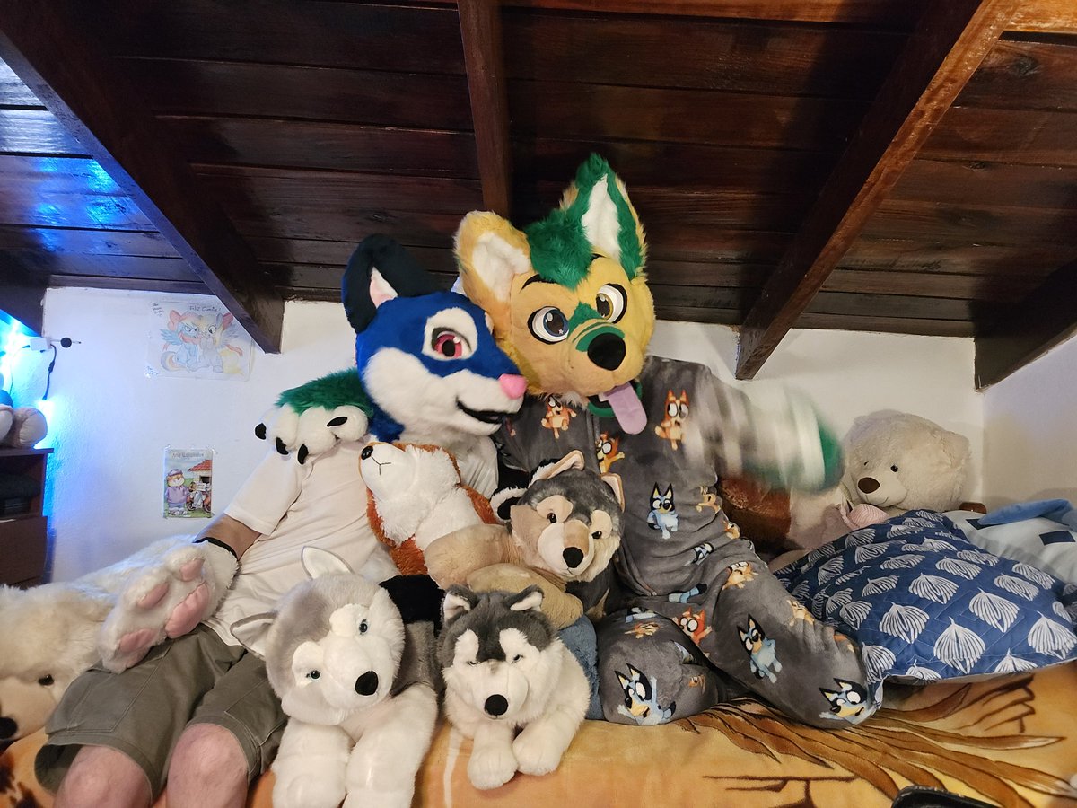 APlushie_Asther's tweet photo. Happy #FursuitFriday ! My dear furry friends from Twitter. This time I bring "fur" all of you some pictures from my last adventure in the The palace of Stuffed animals in my Friend's @Saylight2 home. I must to "say" ( :P ) was very fun.
#furry #plushies #furryfandom #fursuit https://t.co/evuZsOTVZo