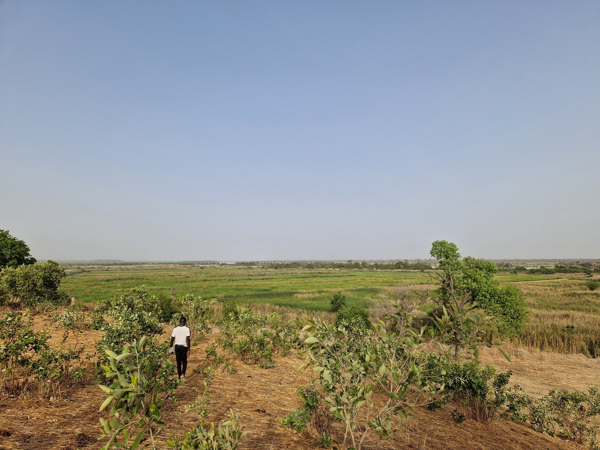 Digging_Africa's tweet photo. Retour sur un mois de prospections en Gambie pour le projet HOME. Au menu : détection d’occupations humaines des deux derniers millénaires.
Bref, une bonne rando-science! 🏃🏃🏃
@UNIGEnews @sciences_UNIGE @snsf_ch https://t.co/FkKxl9j4U5