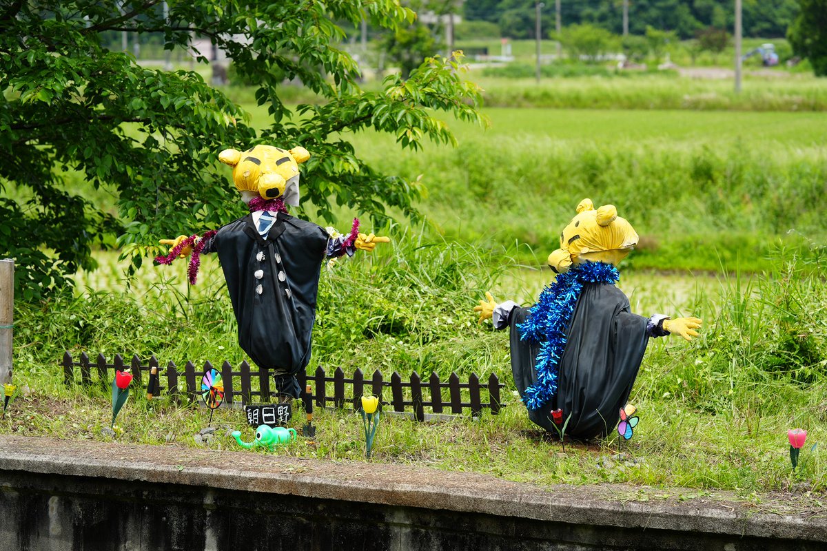 OHMI_railway's tweet image. おはコンです🦊

昨日、朝日野駅に設置しているかかしのまわりの草刈りを実施しました❗️

暑い中でしたがメンバーが頑張ってくれました♪

#みらいファクトリー #BB脱出プロジェクト