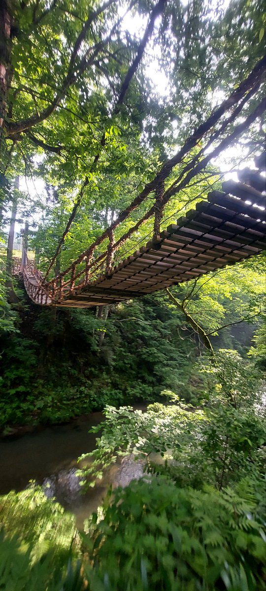 久しぶりの朝活ドラブ🎵(*σ&gt;∀&lt;)σ
先日は瀬戸大橋🌉渡り
恐竜王国🦖帰国して😄
かつら橋🌉同じつり橋だけど‼️
((( ；ﾟДﾟ)))ｶﾞｸｶﾞｸﾌﾞﾙﾌﾞﾙ
#コペン