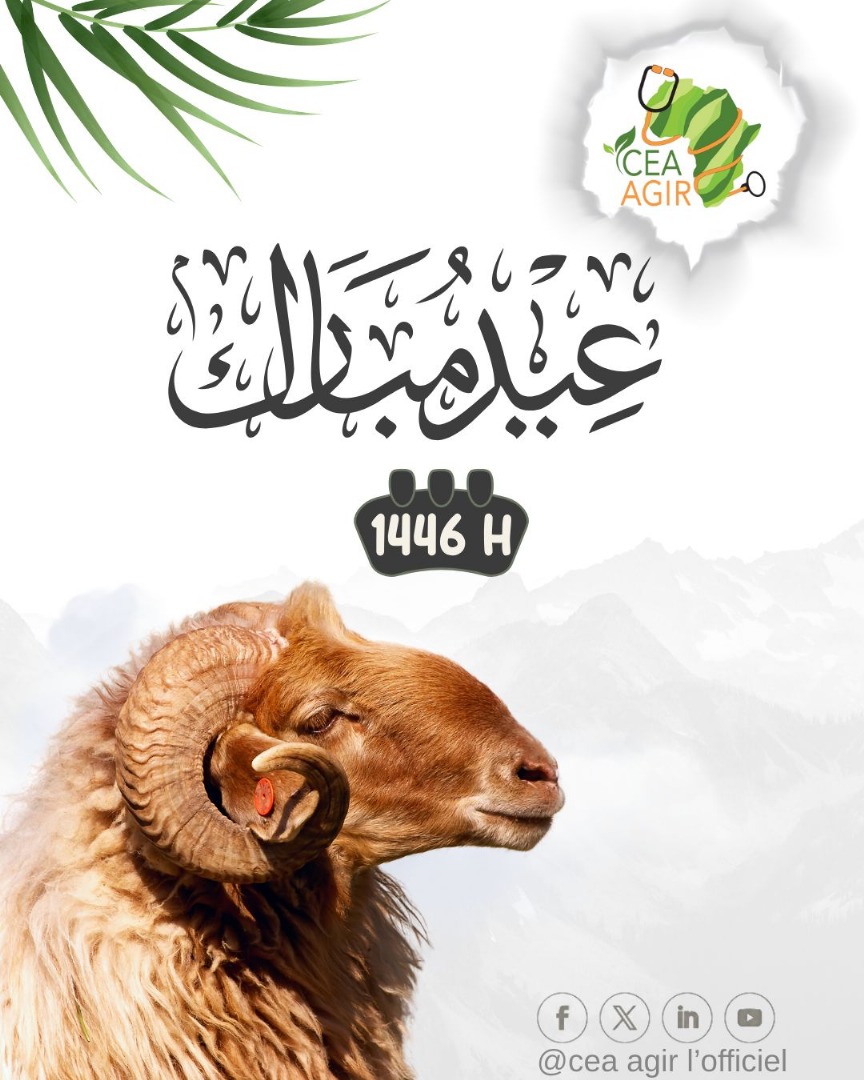 Bonsoir à tous,

 Joyeux Aid el-Adha!
 Nous espérons que vous passerez une très belle fête avec vos familles Inch’Allah.

Dewenety, Aid Moubarak.