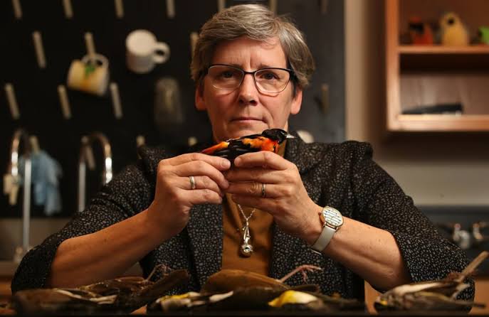 Ultravioleta_radio (@ultravioletafm) on Twitter photo #DestelloUltravioleta
Bridget Stutchbury ha sido una defensora de la conservación de las aves canoras y migratorias. Hoy es una referente en ornitología.
<a href="/radioudeg/">Radio Universidad de Guadalajara</a>
<a href="/dimechascona/">Anabel Casillas</a> <a href="/aquelricardo/">Ricardo</a> <a href="/azaelsg/">Azael López</a> <a href="/fabianecr/">Fabián Cázares</a> #DestelloUltravioleta
Bridget Stutchbury ha sido una defensora de la conservación de las aves canoras y migratorias. Hoy es una referente en ornitología.
<a href="/radioudeg/">Radio Universidad de Guadalajara</a>
<a href="/dimechascona/">Anabel Casillas</a> <a href="/aquelricardo/">Ricardo</a> <a href="/azaelsg/">Azael López</a> <a href="/fabianecr/">Fabián Cázares</a>