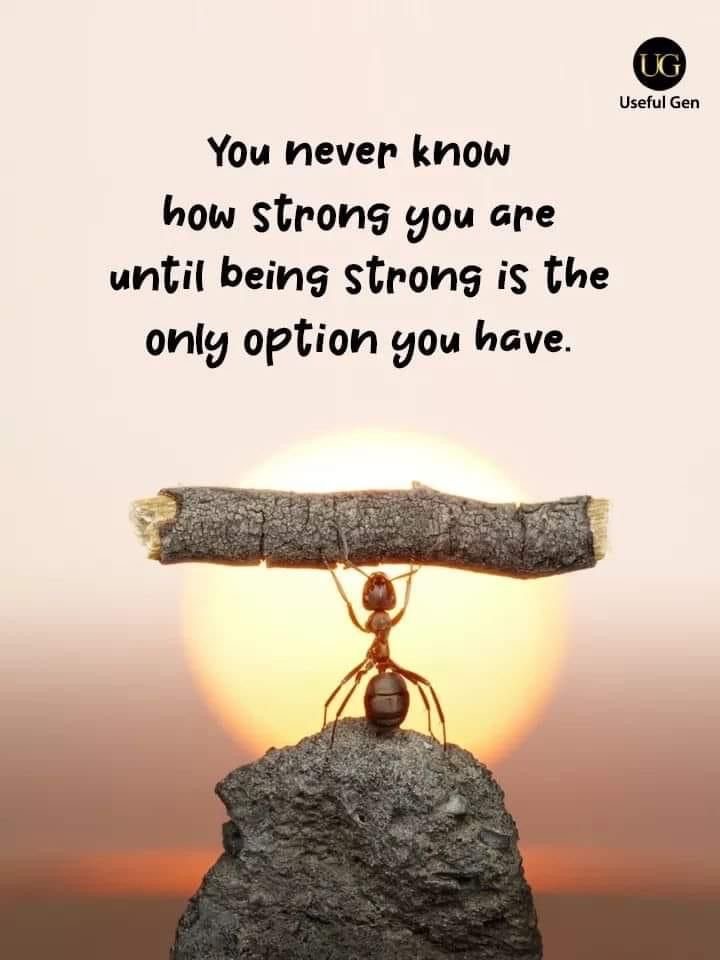 Art of Thinking (@art0fthinking) on Twitter photo 