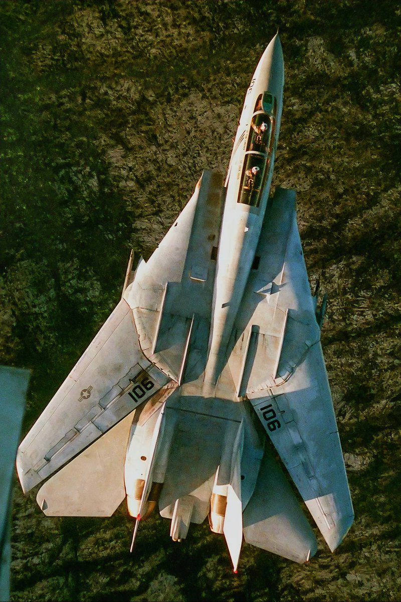 Top-down view of an F-14 from VF-143 “Pukin’ Dogs.” The squadron transitioned to the Tomcat in 1974 and flew it until 2005. VF-143 was the first F-14 unit to employ TARPS pod in combat, conducting recon missions over Lebanon in 1983.