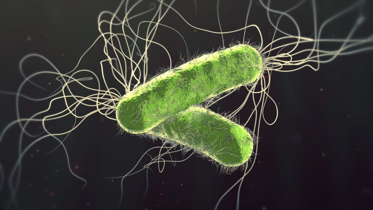 Working to Fight AMR (@wefightamr) on Twitter photo AMR isn't new -- Alexander Fleming warned us about it in 1945. Antibiotic resistance now contributes to around 5 million deaths a year. Scientists are searching everywhere for the next life-saving antibiotic. More from <a href="/NobelPrize/">The Nobel Prize</a>: nobelprize.org/the-unseen-ene… AMR isn't new -- Alexander Fleming warned us about it in 1945. Antibiotic resistance now contributes to around 5 million deaths a year. Scientists are searching everywhere for the next life-saving antibiotic. More from <a href="/NobelPrize/">The Nobel Prize</a>: nobelprize.org/the-unseen-ene…