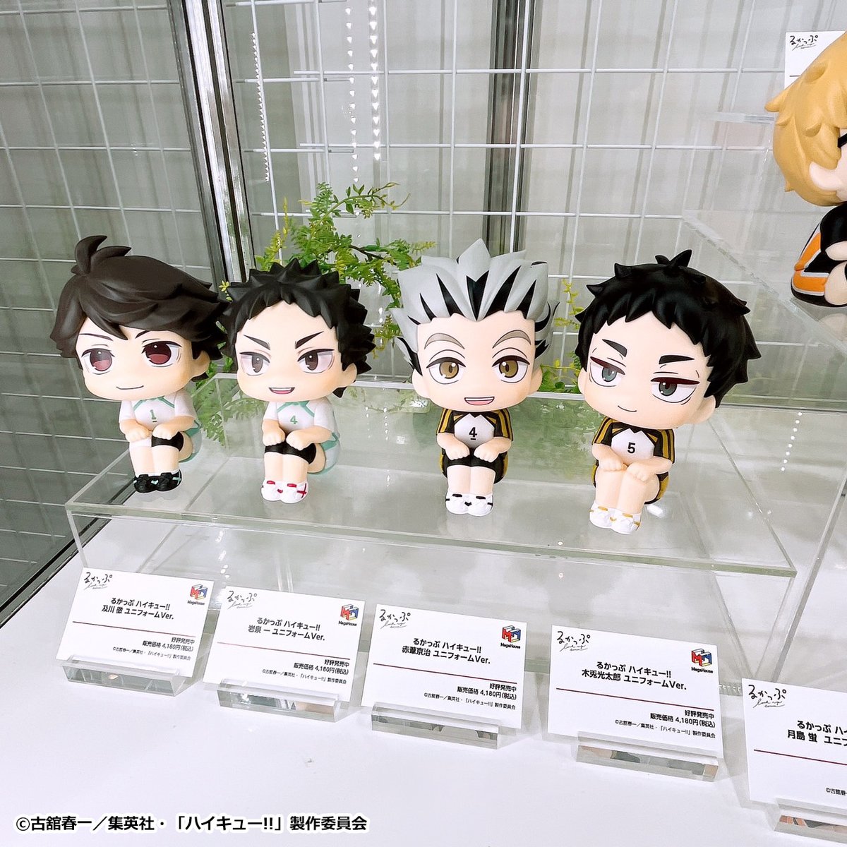 megahouse_tori's tweet photo. 【#ハイキューファンパーク】

˗ˏˋ 一挙展示中メガ！ ˎˊ˗

るかっぷ ハイキュー!!
ユニフォームシリーズ
￣￣￣￣￣￣￣￣￣￣￣
🏐西谷/田中…6月発売！
🏐北/角名…8月発売！

https://t.co/wqhhBtf30l
#hq_anime #るかっぷのいる生活 https://t.co/XL2to6QEfo