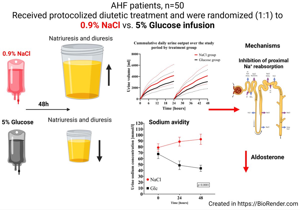 SOLVRED-AHF:

Patients with HF + Furosemide

Additionally Randomized to: 

1⃣ 2 L saline / day
2⃣ 2 L 5% Glucose / day

Greater diuresis and natriuresis in the saline group...

Conclusions hint that giving salt can improve decongestion

HOWEVER: No difference in delta CA-125, no