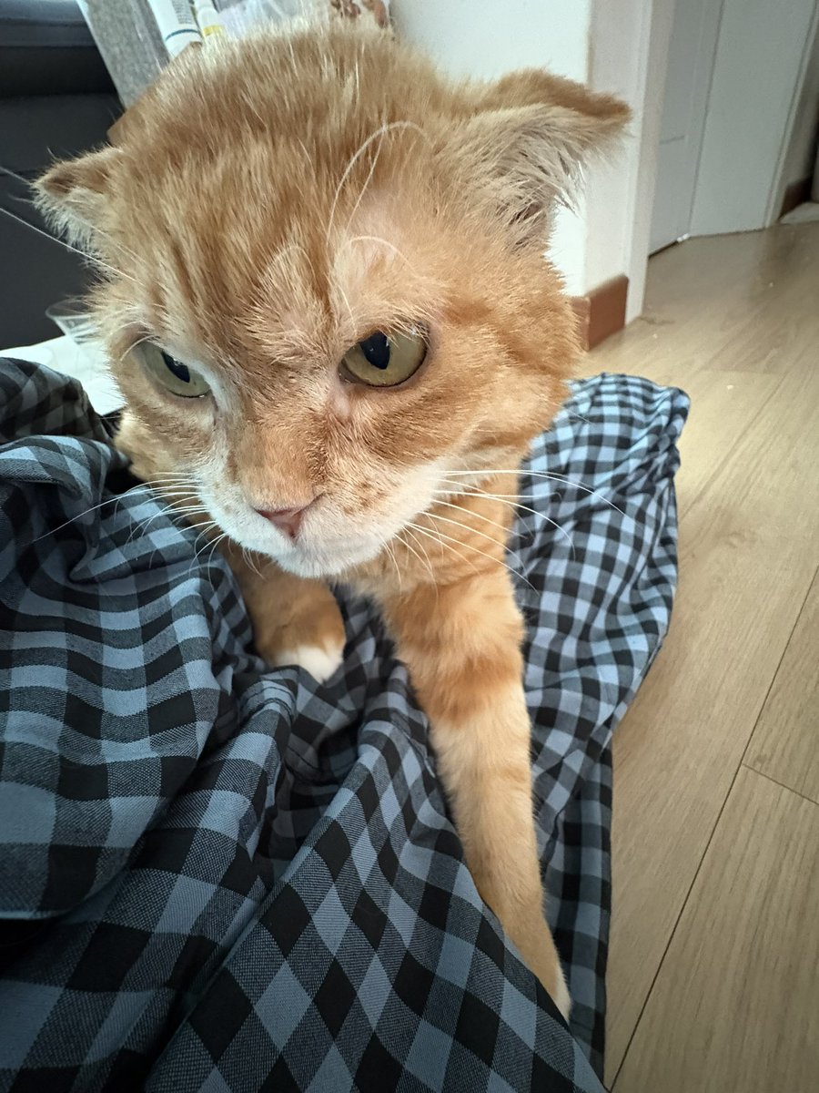 자다 깬 못생긴 아저씨 
(님들이뭐라하셔서바지새로샀습니다)