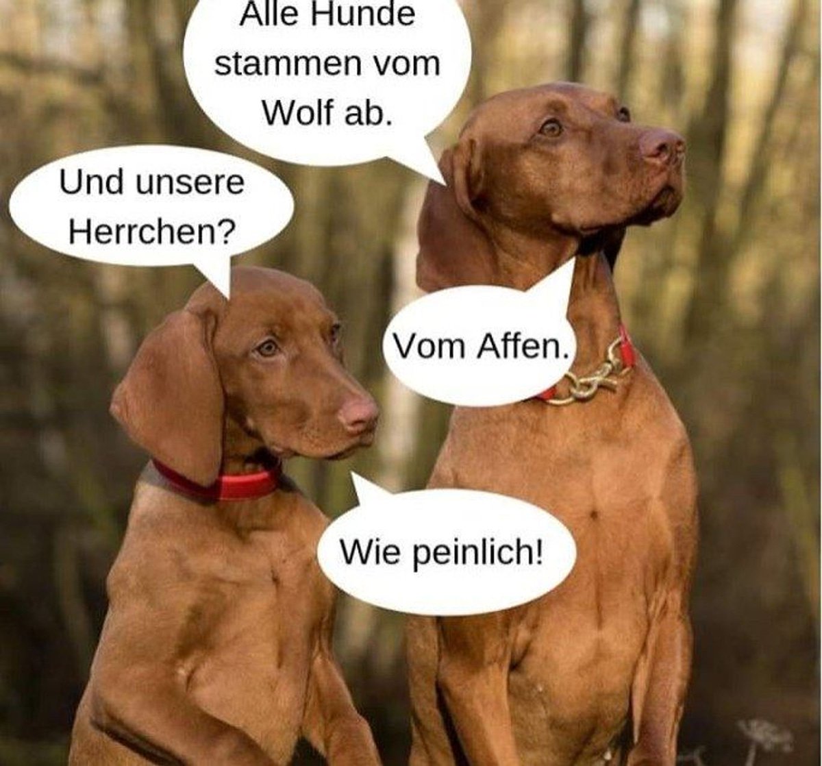 <a href="/kernseher/">🧹-𝕛-💨ᶨᴬᵞ─``SCHEH´´🕊️🌈Sinn☁️🪂ᶫᵒᶫ</a> <a href="/ABrayen20097807/">andy,brayen2003</a> Allerdings kein Wunder! 🤔🤔🙈