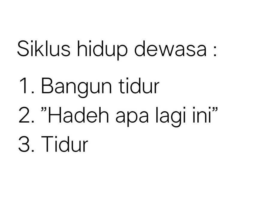 puntennyuak's tweet photo. https://t.co/TNIt2BSHqM