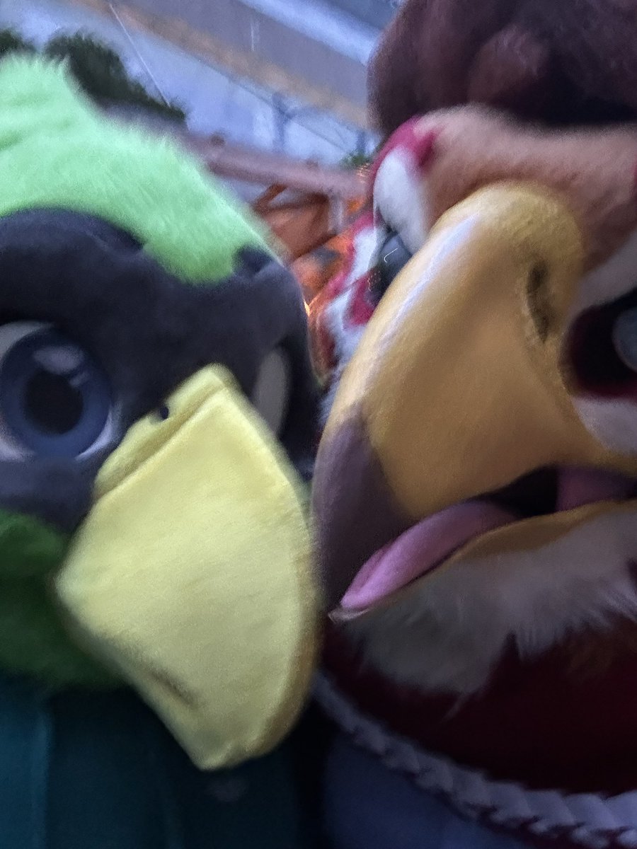 I completely forgor today was #FursuitFriday so enjoy this story in two acts