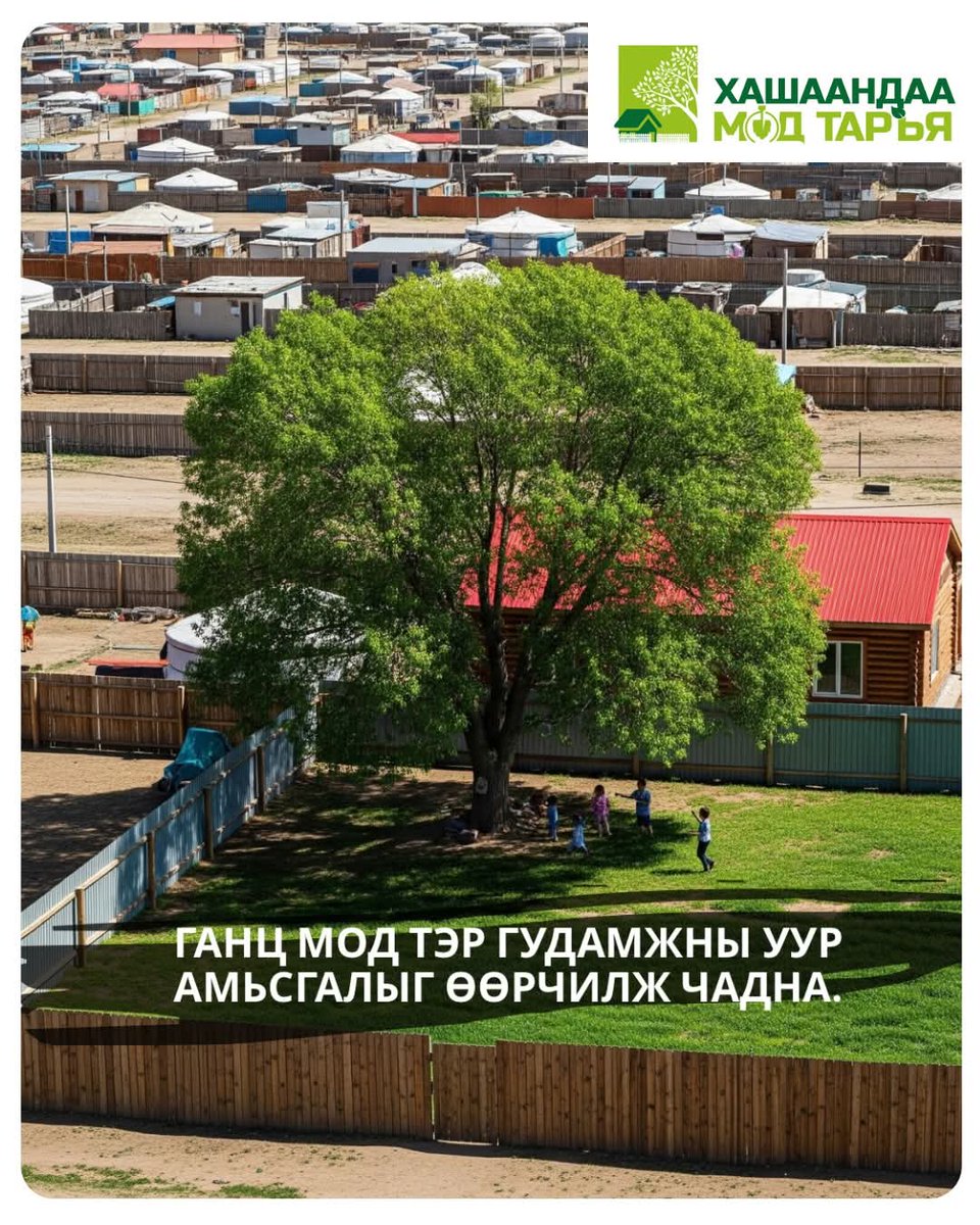 Өглөөний мэнд🌞🥰