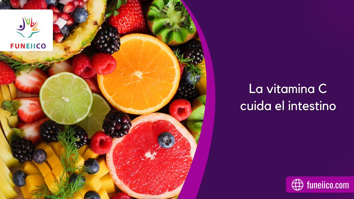 La vitamina C juega un papel importante en el cuidado del intestino, especialmente en personas con #EII 
Ayuda a reducir la inflamación, proteger los tejidos y favorecer la reparación de la mucosa intestinal
Recuerda consultar antes de tomar suplementos 💜
#FUNEIICO