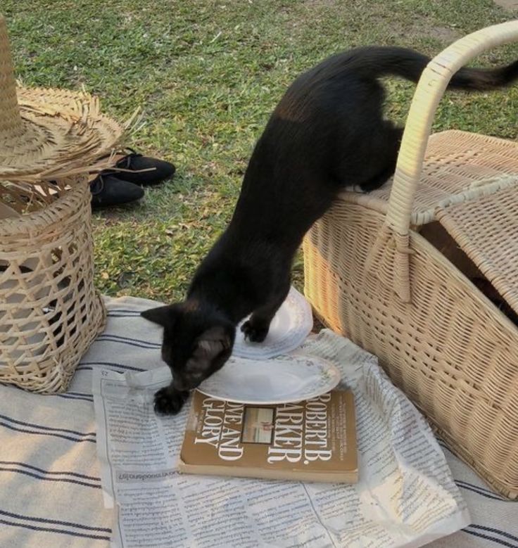 ╰───┄ °❀ Mιrᥲᥒdᥲ Gᥲrdιᥒᥱr.

❝Lєт'ѕ ℓινє ℓιкє ƒℓσωєяѕ, 
ωιℓ∂, вєαυтιƒυℓ αη∂ 
вαтнє∂ ιη тнє ѕυη.❞ 

°❀: Ɗємιgσ∂∂єѕѕ
°❀:  ¿↻+♡?