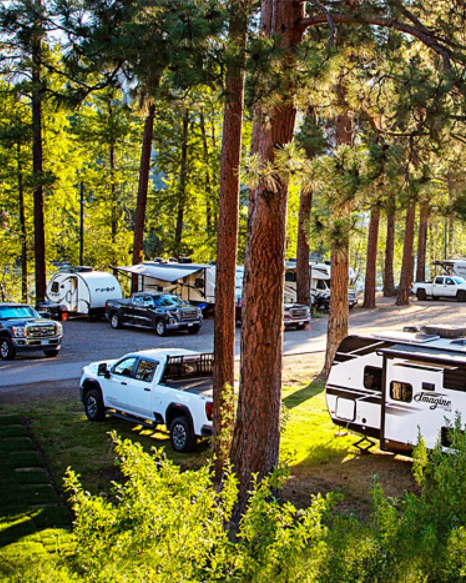 CanaDream RV Rentals (@canadreamrv) on Twitter photo Looking for the perfect riverside escape? 🌲🚐 Stay at <a href="/PrincetonBC/">Visit Princeton</a>’s Municipal RV Park! Enjoy full hookups, riverside sites, pet-friendly vibes, and easy access to trails, golf, and more. 🌊⛺️ Book your spot today!
Check the link below!
canadream.com/blog/june-2025… Looking for the perfect riverside escape? 🌲🚐 Stay at <a href="/PrincetonBC/">Visit Princeton</a>’s Municipal RV Park! Enjoy full hookups, riverside sites, pet-friendly vibes, and easy access to trails, golf, and more. 🌊⛺️ Book your spot today!
Check the link below!
canadream.com/blog/june-2025…