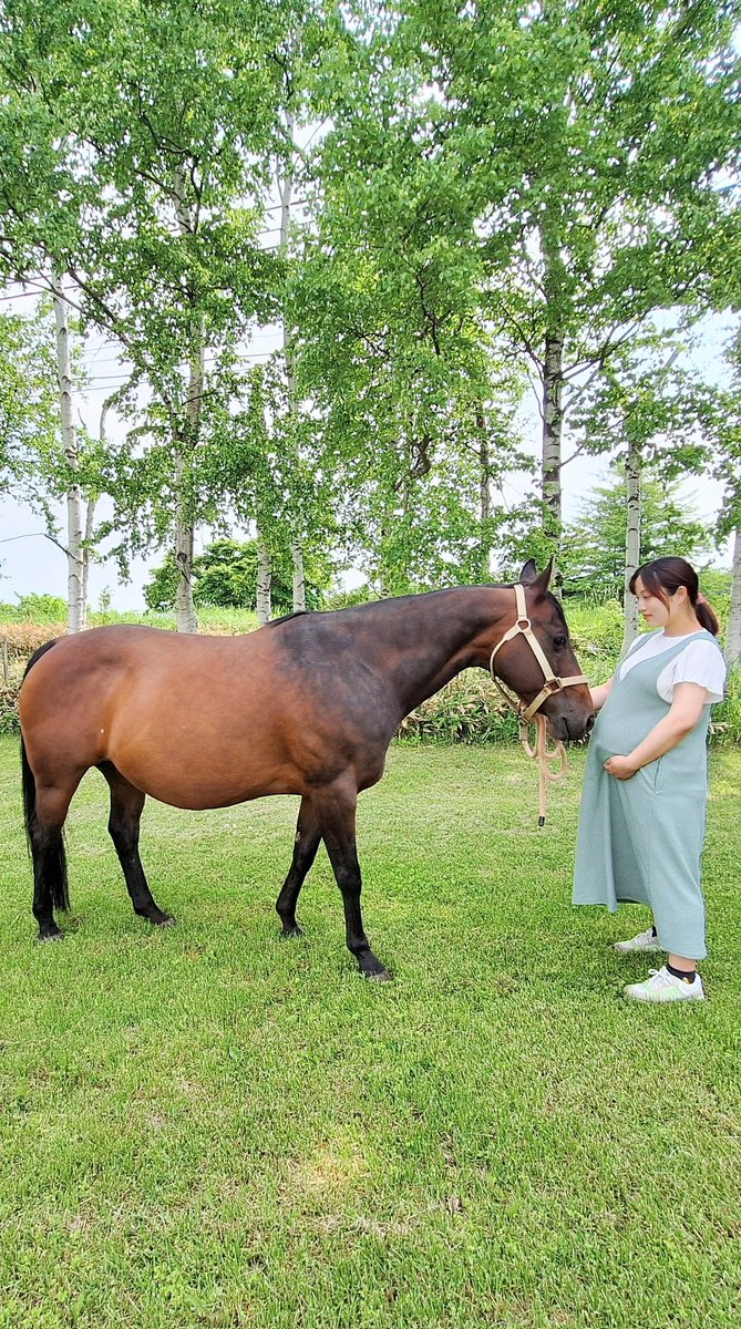 maron_light's tweet image. 実家の馬とマタニティフォト的なのを撮りました。お互い臨月です。

元気な馬と人間が産まれますように！