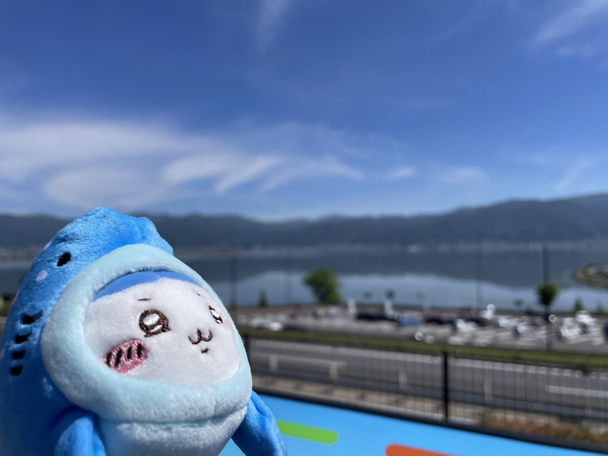 🐳🦈ぉさしみぃ🐟🐬 (@sstmrena11) on Twitter photo 